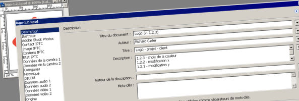 gestion-semantique-de-version